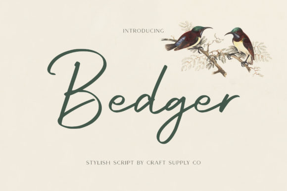 Bedger: A Friendly Handwritten Font for Engaging Web Designs
