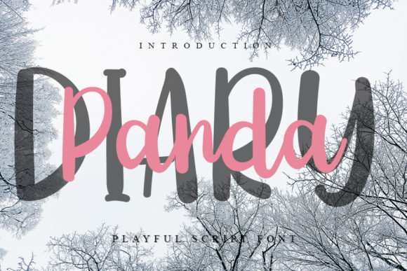 Diary Panda: A Playful Handwritten Font for Engaging Campaigns