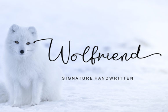 Discovering Wolfriend: A Graceful Calligraphy Typeface for Editorial Design