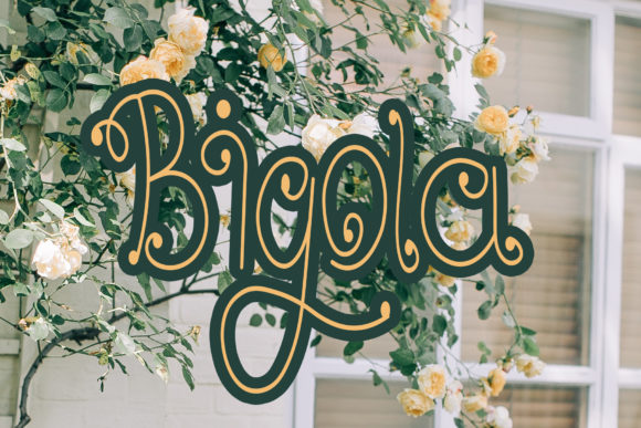 Enhance Your Brand with Bigola: A Graceful Handwritten Font