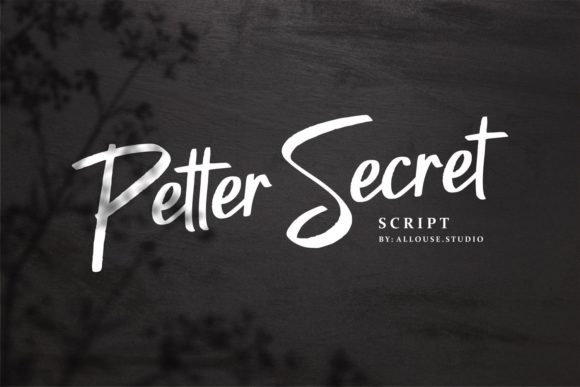 Enhance Your Campaigns with Petter Secret Font