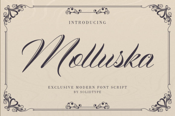 Enhance Your Web Design with Molluska Font