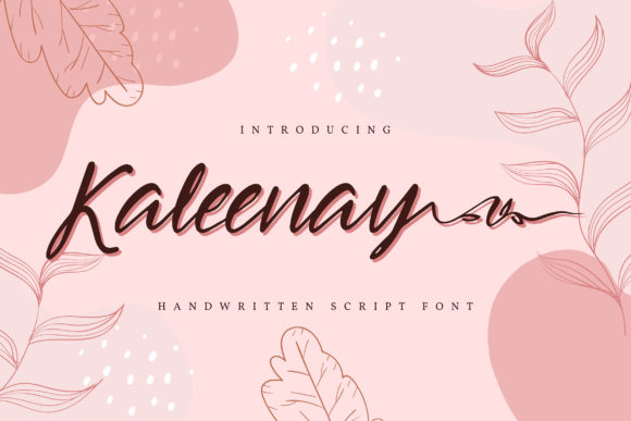 Kaleenay: A Graceful Script Font for Web Design