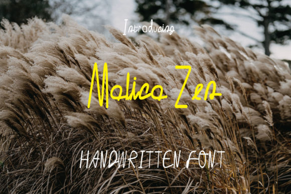Malica Zen: A Versatile Script for Creative Projects